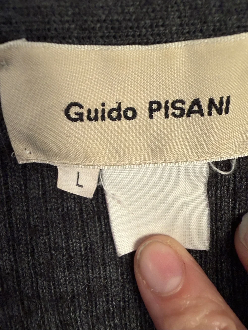 Guido pisani guido pisani